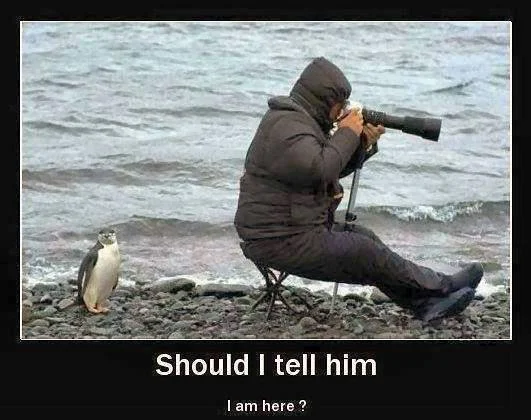 shud I tell him.webp