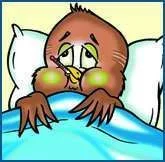 sick_bird.webp