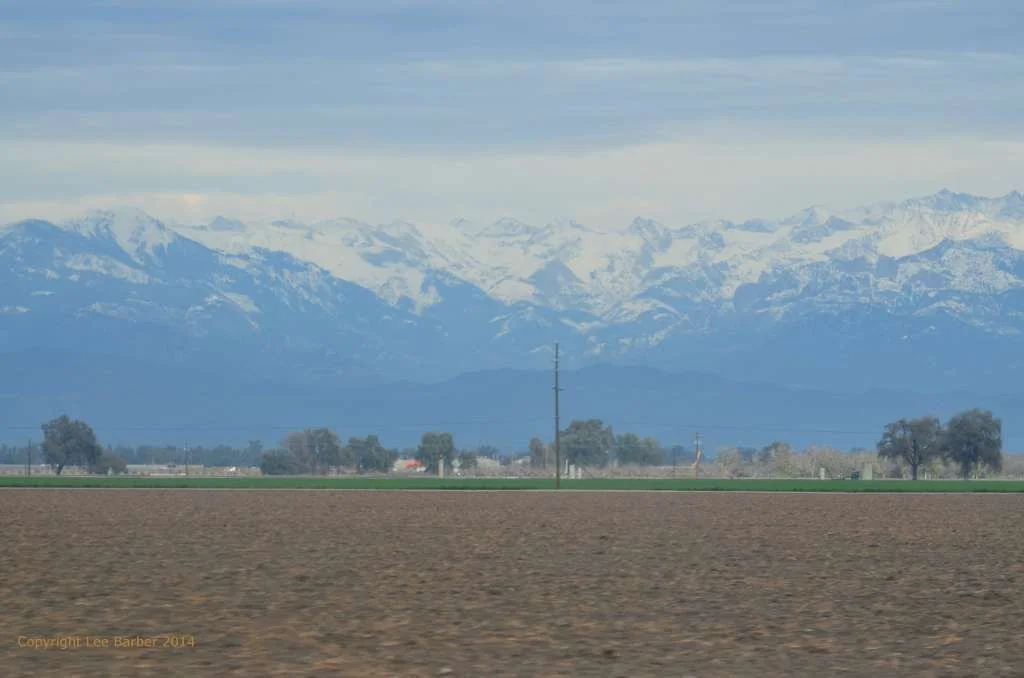 Sierra(1).webp