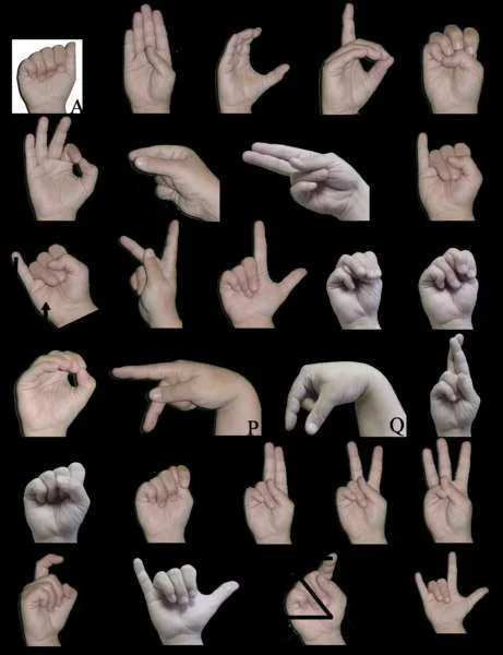 signlanguage_20100806_1724617917.png.webp