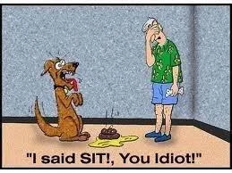 sit.webp