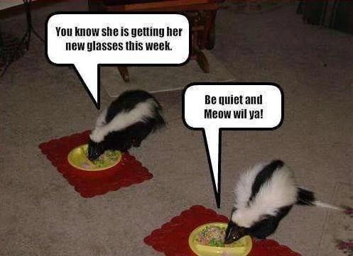 Skunks.webp
