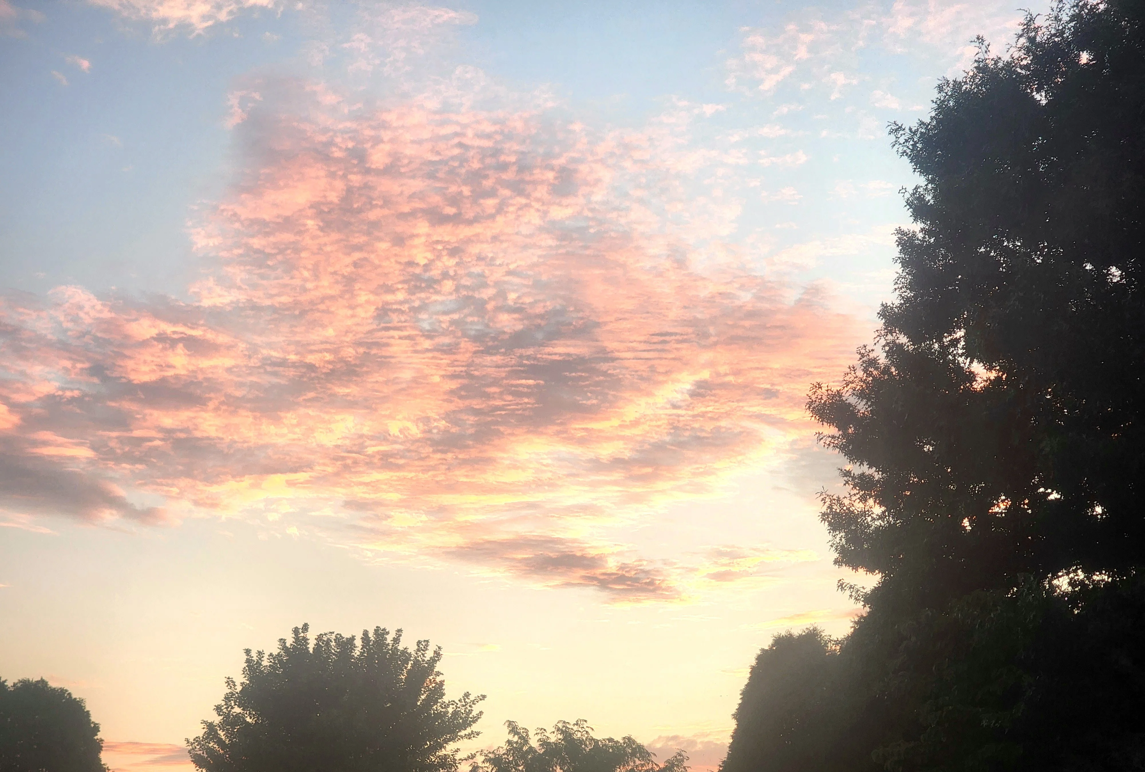 Sky.webp