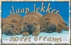 slaaplekker.webp