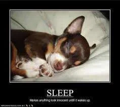 Sleep.webp