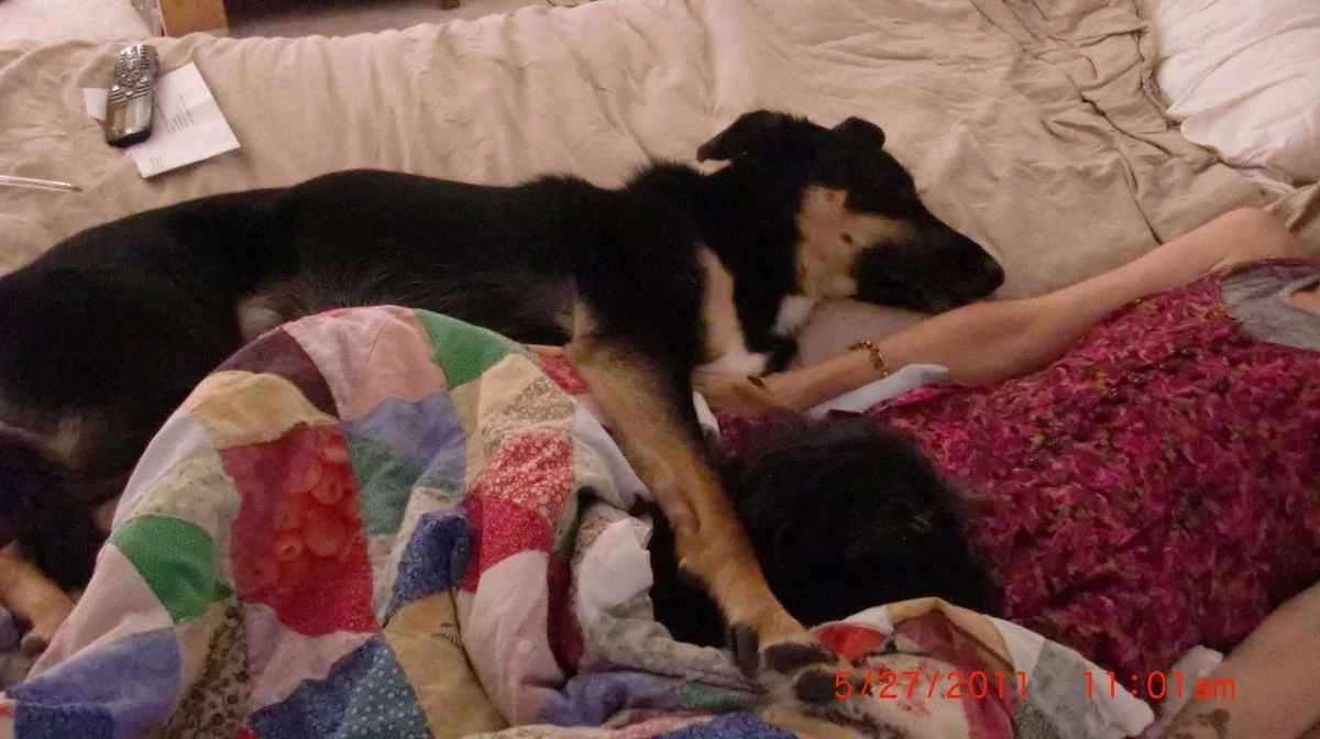 sleeping.webp