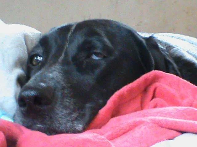 Sleepingabby.webp