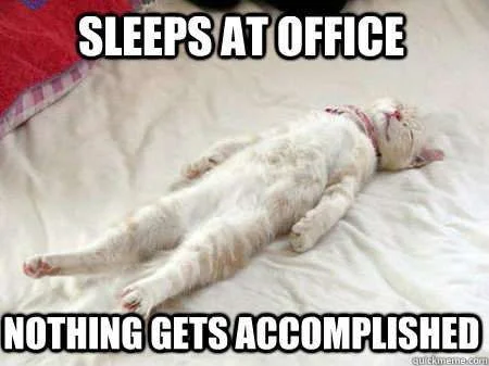 sleepy_cat.webp