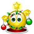 smiley3565.gif