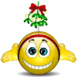 smiley3666.gif