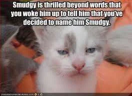 Smudgy.webp