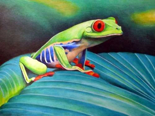 Smug Frog.webp
