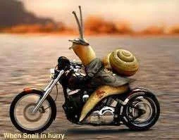 snail in hurry.webp