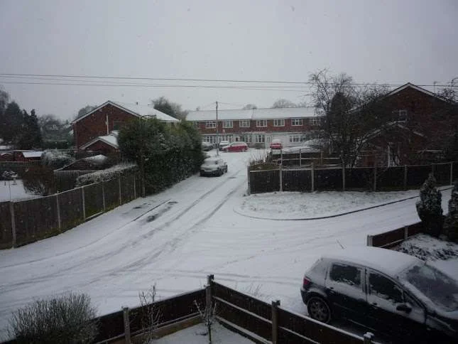 snow copy.webp