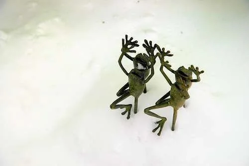 snow frogs.webp