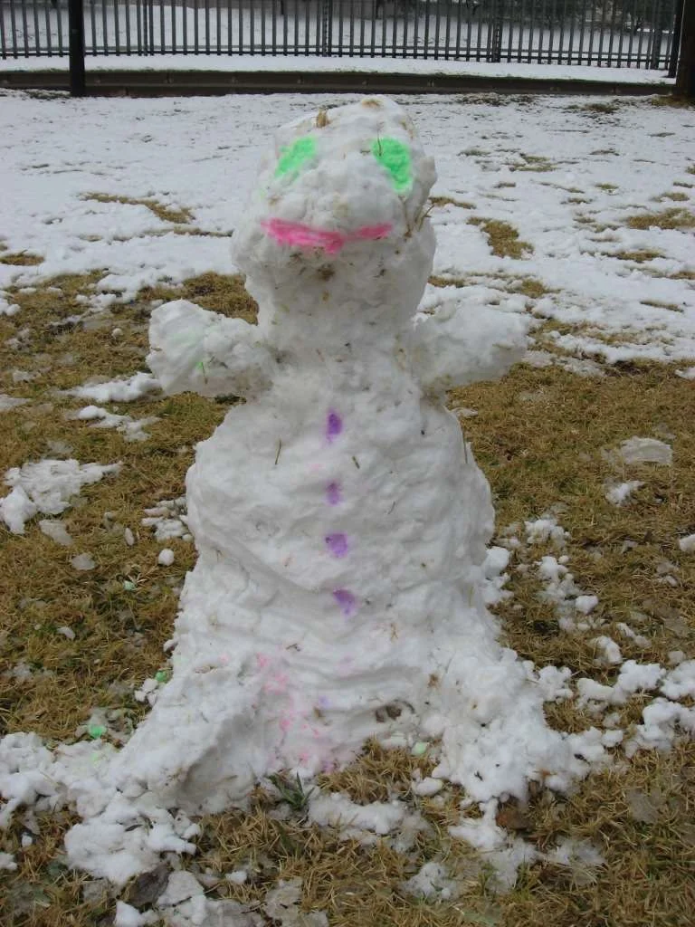 Snow in Joburg 1.webp