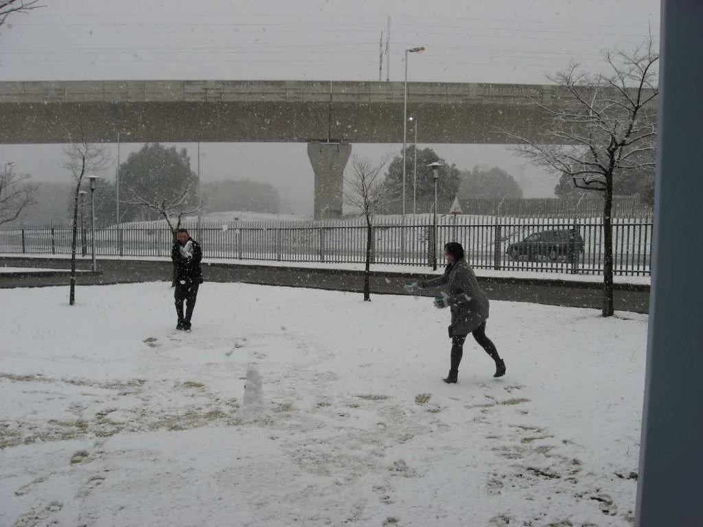 Snow in Joburg 2.webp