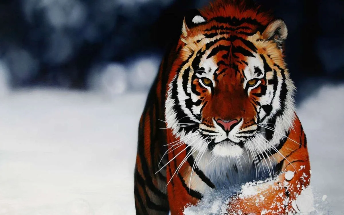 snow-lion.webp
