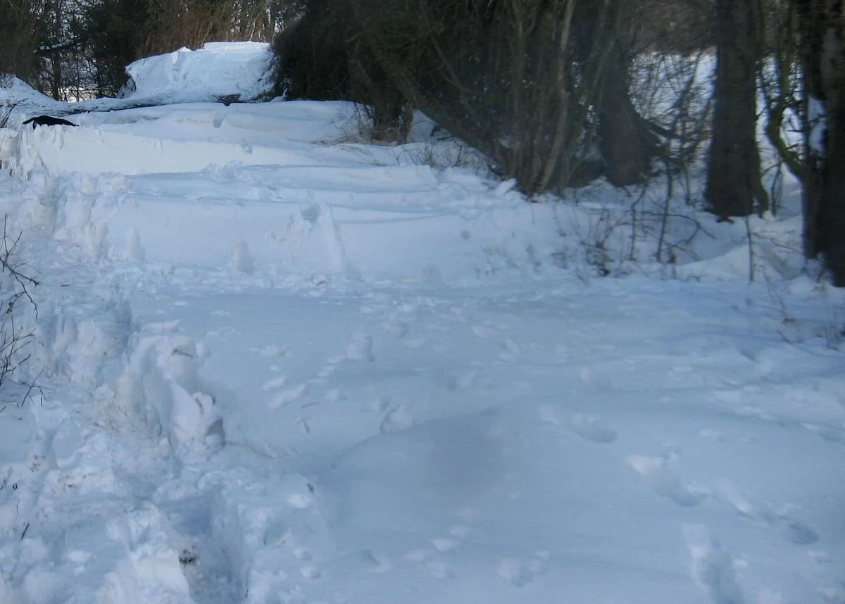 Snow switchback - Benthall.webp