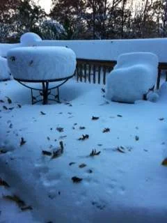 snow1.webp