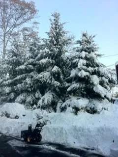 snow2.webp