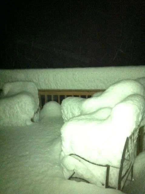 snow3.webp