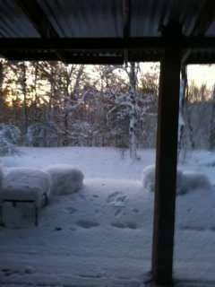 snow4.webp
