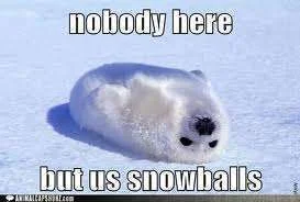 Snowballs.webp