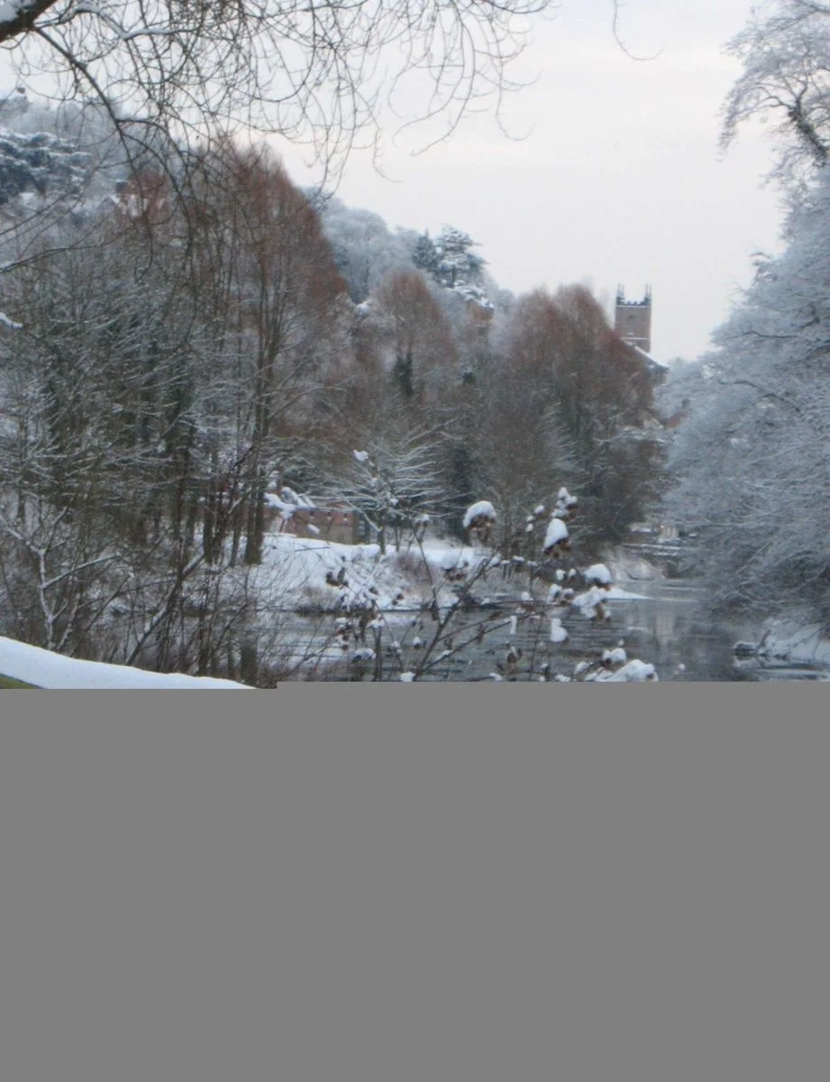 Snowdogs at Dale End.webp