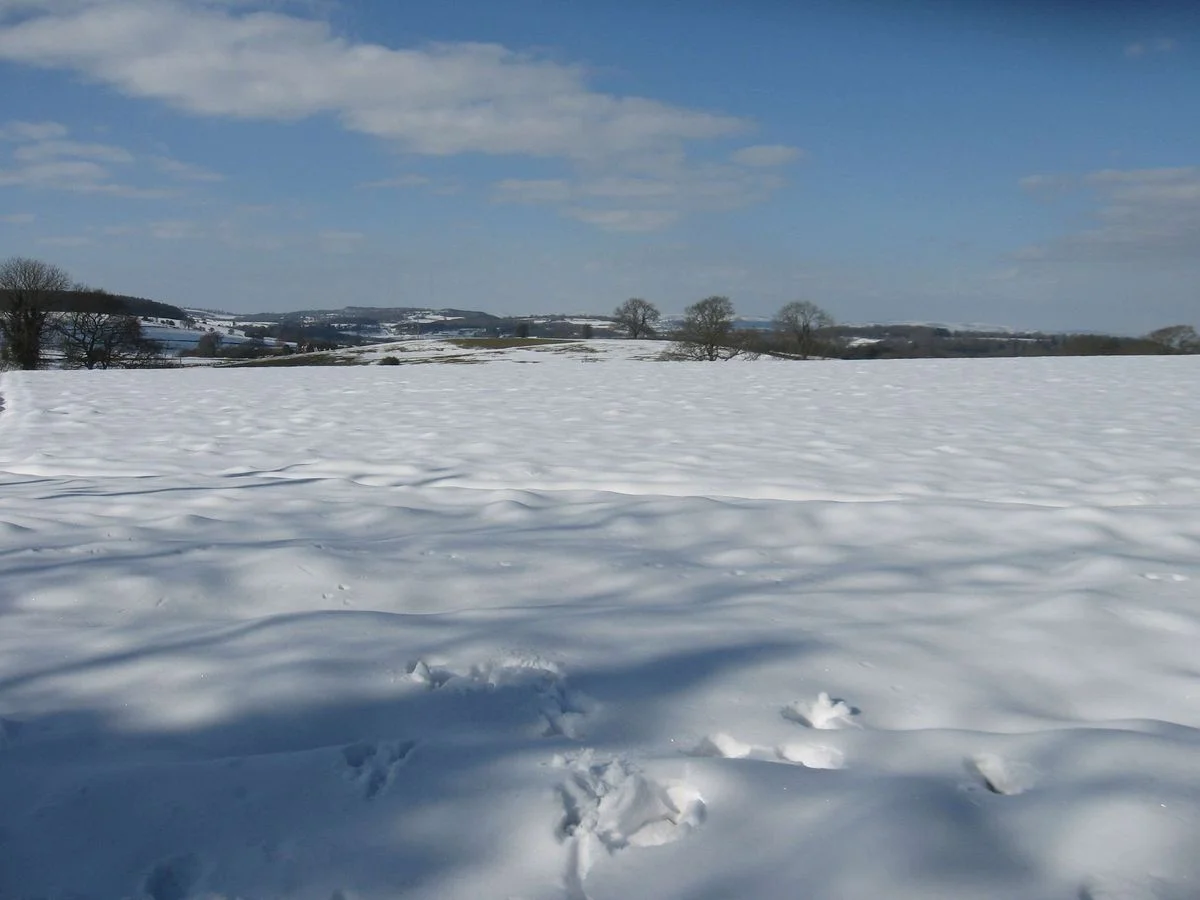 Snowfields.webp