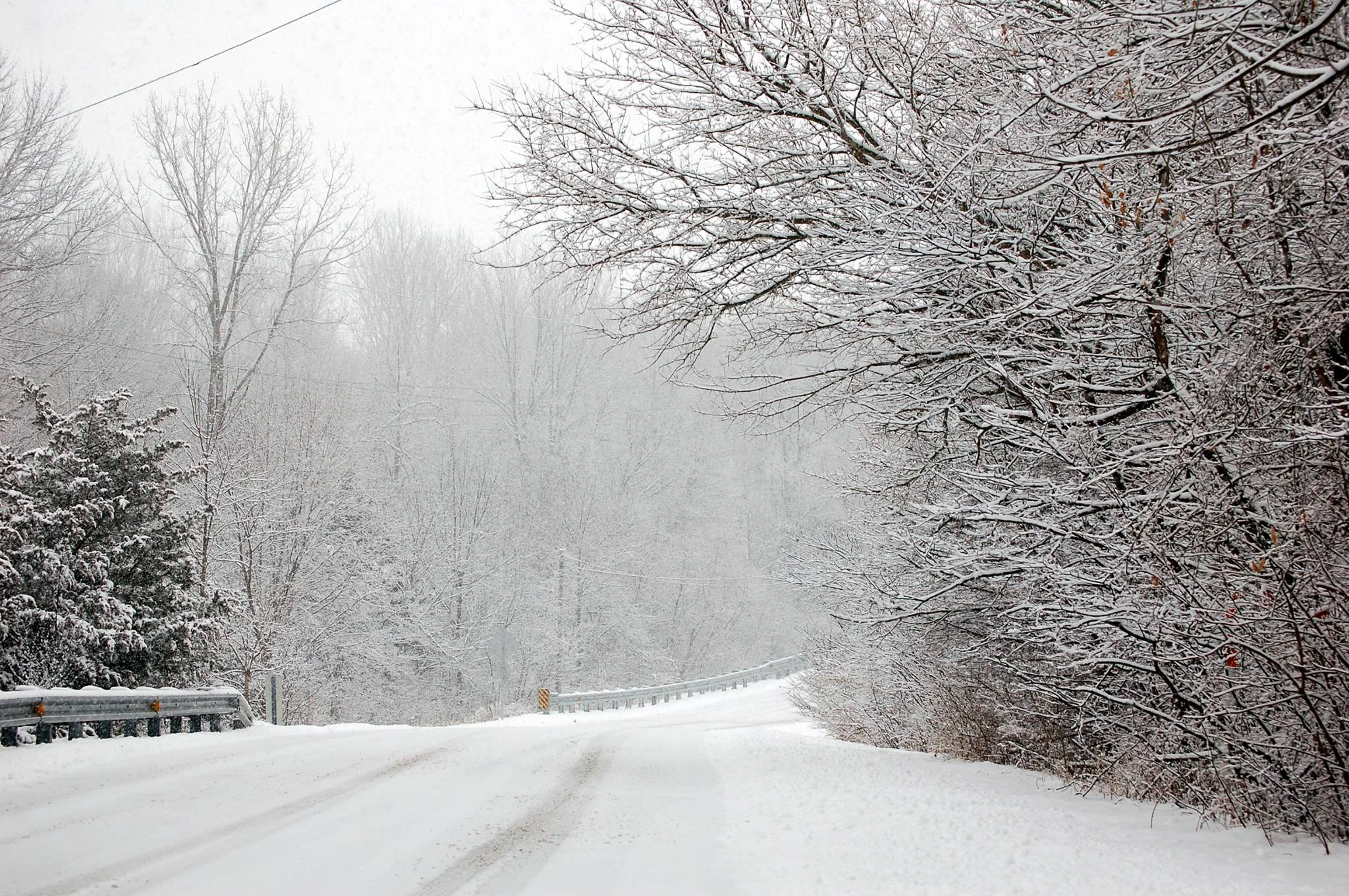 snowy road.webp