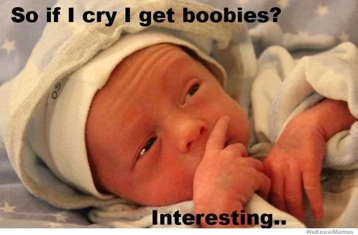 so-if-i-cry-i-get-boobies.webp