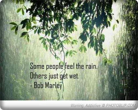 some feel the rain.webp