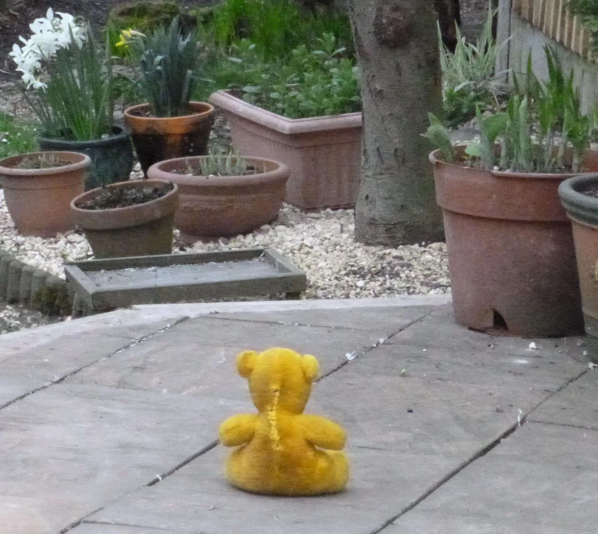 Sometimes I just sit - Pooh bear.webp