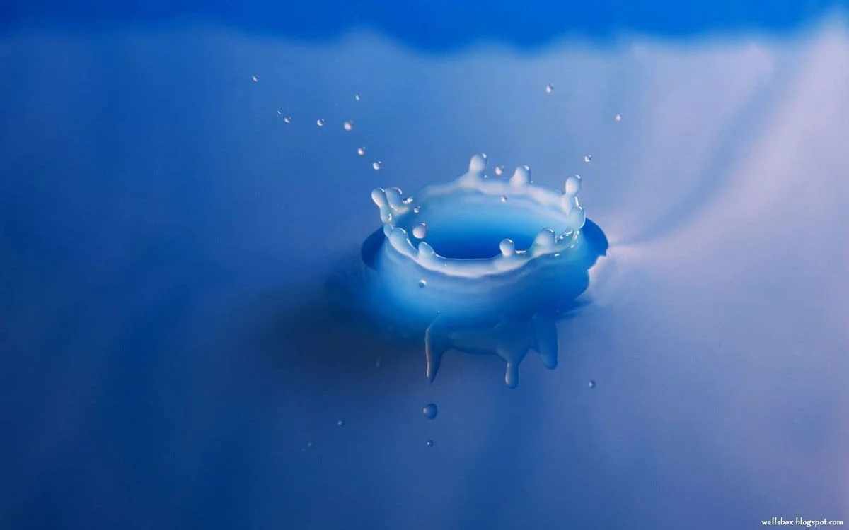 splash.webp