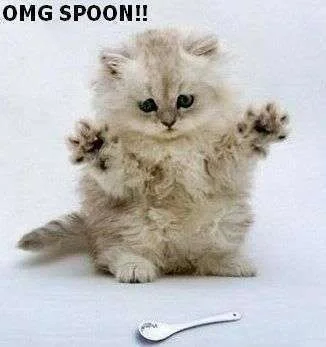 spoonie.webp