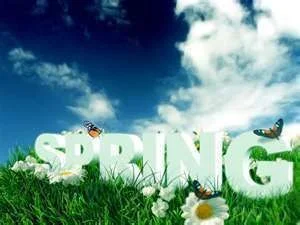 spring.webp