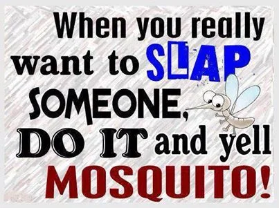 squito slap.webp