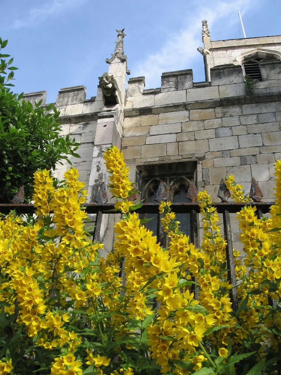 St Olaves Church.webp
