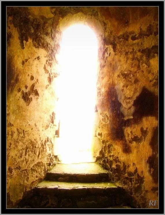 Step into The Light.webp