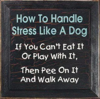 stress.webp