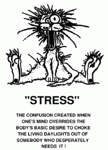 stress2-215x300.gif