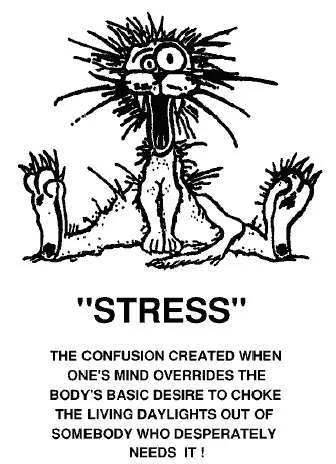 stressed.webp