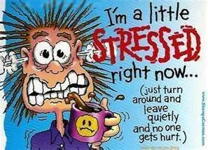 Stressed.webp