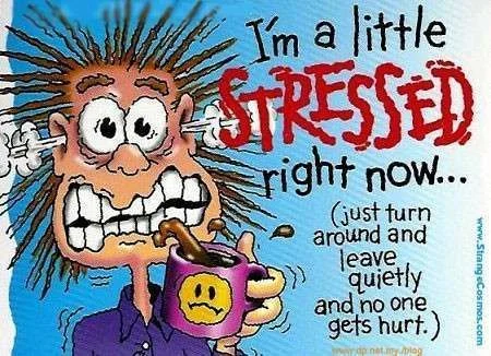 stressed.webp