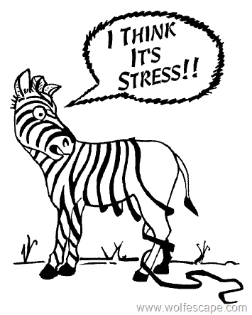 stresszebrastripes.gif