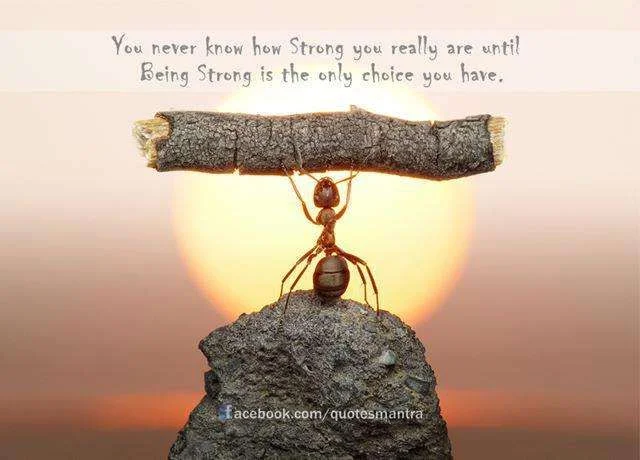 strong.webp