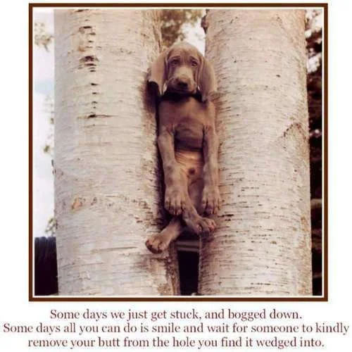 stuck.webp