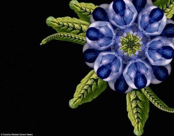 Stunning-Flowers-Art-Made-Out-of-Human-Body-01-600x468.webp
