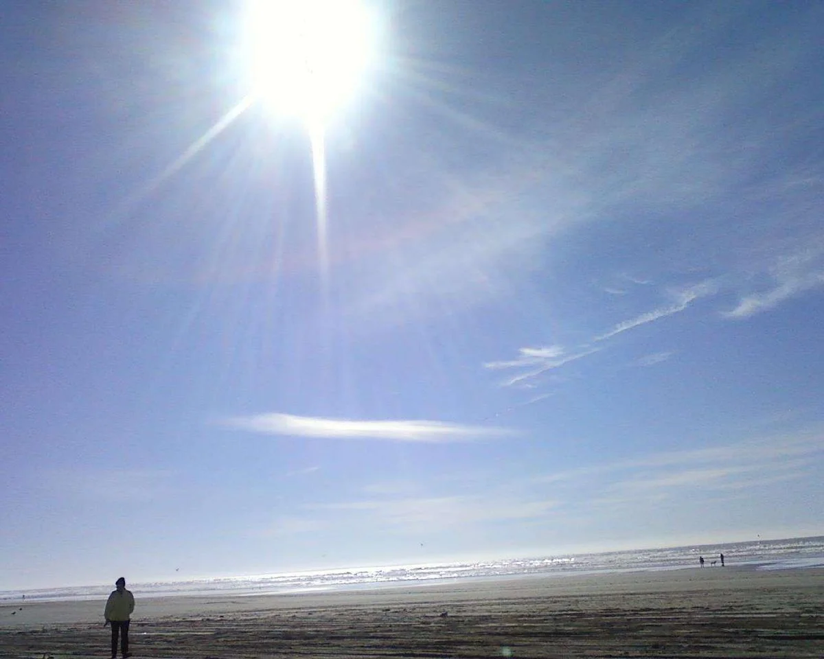 SUN SPIKES.webp
